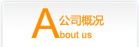 公司概況